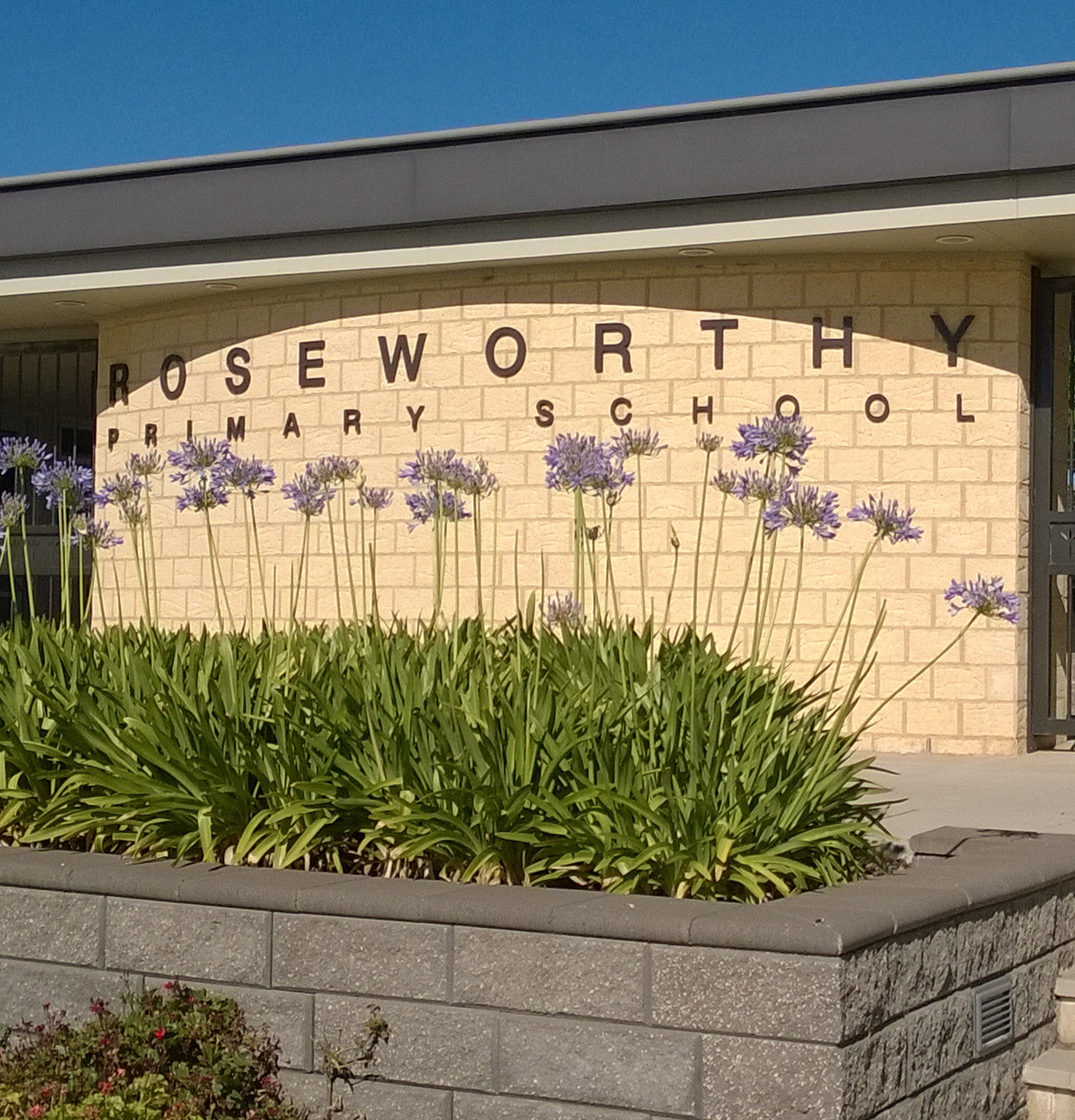 Photograph of Roseworthy Primary School - western entrance